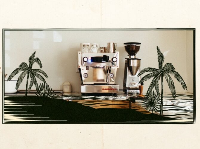 Espresso machines and grinder displayed on a shelf with tropical plants and minimalist line art illustration