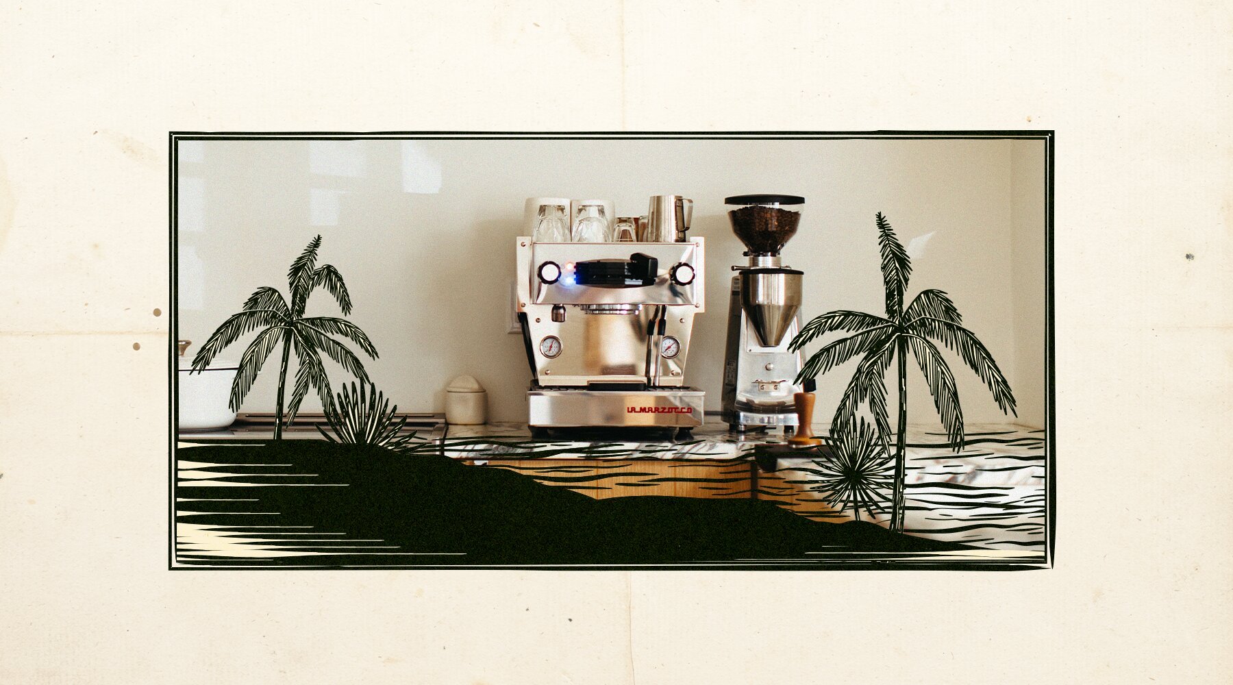 Espresso machines and grinder displayed on a shelf with tropical plants and minimalist line art illustration